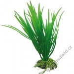 Hobby Cyperus 16 cm – Sleviste.cz