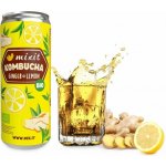 Mixit BIO Kombucha Ginger & Lemon 330 ml – Hledejceny.cz