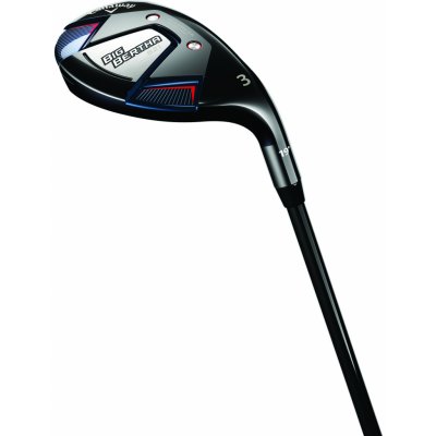 Callaway Big Bertha B21 – Hledejceny.cz