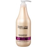 Stapiz Sleek Line Colour Shampoo 1000 ml – Zbozi.Blesk.cz