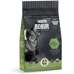 Bozita Robur Adult Maintenance Mini 3,25 kg – Hledejceny.cz