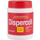 DRUCHEMA Dispercoll D2 disperzní lepidlo na dřevo 1kg