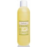 Saloos mandlový olej RAF 1l – Sleviste.cz