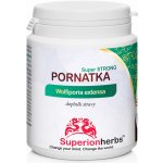 Pornatka kokosová, Wolfiporia extensa, Extrakt 40 % polysacharidů 90 kapslí – Hledejceny.cz