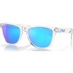 Oakley OO9013 9013D0 – Hledejceny.cz