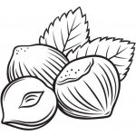 Alteya Amla olej 100% Bio 50 ml – Sleviste.cz