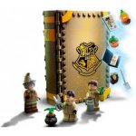 LEGO® Harry Potter™ 76384 Kouzelné momenty z Bradavic: Hodina bylinkářství – Zboží Živě