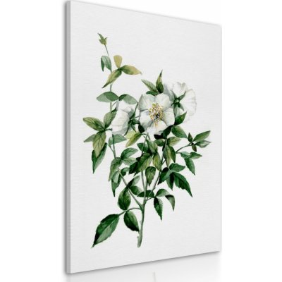 Obraz na plátně WHITE FLOWERS III. různé rozměry Ludesign ludesign obrazy: 70x50 cm – Zbozi.Blesk.cz