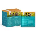 Covetrus Essentials Orální rehydratační sáčky 10 x 30 g – Hledejceny.cz