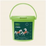 Root&Snoot Lymfa pro koně sypaná směs 1,5 kg – Hledejceny.cz