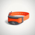 SportDOG® Elektronický extra obojek pro SportDOG trenér 500 a 800m – Hledejceny.cz