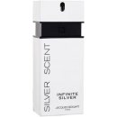 Jacques Bogart Silver Scent Infinite Silver toaletní voda pánská 100 ml