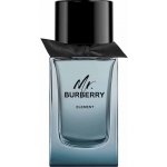 Burberry Mr. Burberry Element toaletní voda pánská 100 ml – Hledejceny.cz