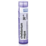 CHELIDONIUM MAJUS POR 30CH GRA 1X4G – Hledejceny.cz