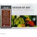 Blok grafický Terra A4 250 g/m2 20 listů – Zbozi.Blesk.cz