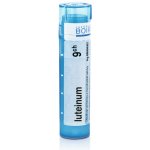 LUTEINUM POR 9CH GRA 4G – Hledejceny.cz