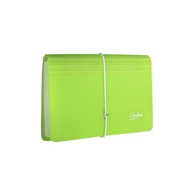 Karton P+P Organizér na dokumenty s gumou DL Opaline čirá-zelená 13 kapes – Hledejceny.cz