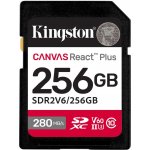 Kingston SDXC 256GB SDR2V6/256GB – Zboží Živě