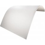 Rigips Glasroc F Riflex 2400 x 1200 x 6 mm 1 ks – HobbyKompas.cz