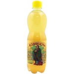 Stevikom Kombucha heřmánek 0,5 l – Zboží Dáma