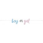 Unique BANNER Boy or Girl 213cm – Hledejceny.cz