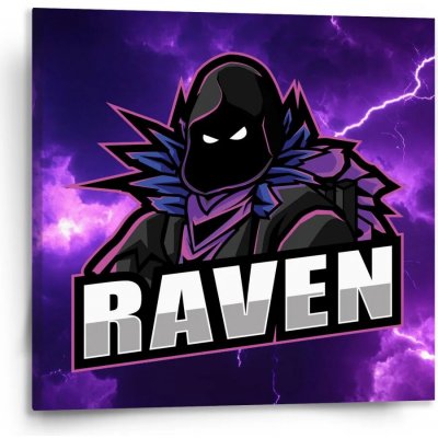 Sablio Obraz FORTNITE RAVEN Fialová bouře - 110x110 cm – Zboží Dáma