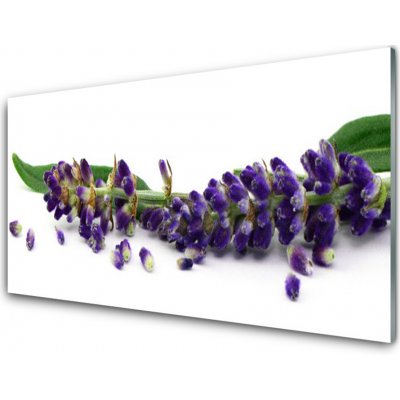 Obraz na skle Levandule Mrtvá Příroda 100x50 cm