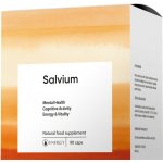 Energy SALVIUM 90 kapslí – Hledejceny.cz