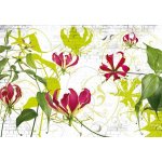 Komar 8-899 Fototapeta květiny Gloriosa Rozměr 368 x 254 cm – Zboží Dáma