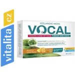 Vocal HA Pastilky s příchutí medu a citronu 24 pastilek – Hledejceny.cz