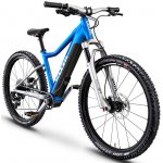 Woom Up 6 2024 – Hledejceny.cz