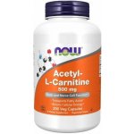 Now Foods Acetyl-L-Karnitin ALC 500 mg 200 veg kapslí – Hledejceny.cz