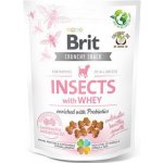 Brit Care Dog Crunchy Cracker Insects with Lamb enriched with Raspberries 200 g – Zboží Dáma