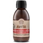 Avita Přírodní železo C+B9+B12 liposomal plus 200 ml – Hledejceny.cz