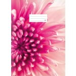 MFP Paper školní sešit A4 440 – Zboží Mobilmania