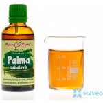 Bylinné kapky Palma sabalová Serenoa repens tinktura 50 ml – Hledejceny.cz