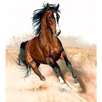 Malování podle čísel Běžící kůň