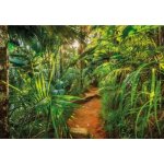 Komar 8-989 Fototapeta Jungle Trail rozměr 368 cm x 254 cm – Hledejceny.cz