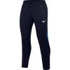 Pánské tepláky Nike kalhoty ACADEMY PRO II pant dh9240-451