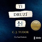 Ti druzí - C. J. Tudor - čte Vasil Fridrich – Sleviste.cz