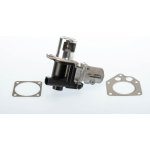 AGR-Ventil BorgWarner 710928D | Zboží Auto