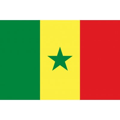 Senegal vlajka - 60 x 90 cm - tunel, karabina – Hledejceny.cz