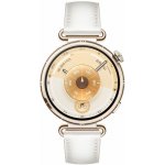 Huawei Watch GT 6 41mm – Zboží Živě