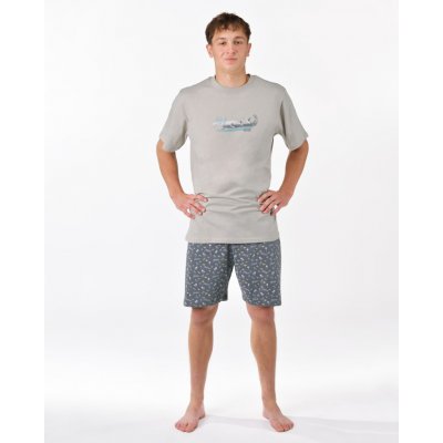 Gina pánské pyžamo krátké 79190P šedé – Sleviste.cz