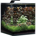 Dennerle akvárium NanoCube Complete 60 l – Hledejceny.cz