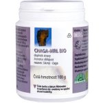 MRL Čaga Chaga 100 g BIO prášek – Hledejceny.cz