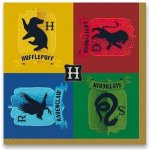 Amscan papírové ubrousky Harry Potter 16ks 33x33cm – Zboží Dáma
