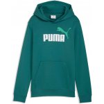 Puma Essentials 2 Color No 1 Logo Hoodie TR B zelená – Zboží Mobilmania