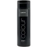 Subrina Direct Colour Grey 200 ml – Zboží Dáma