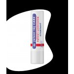 REGINA Jelení lůj Care šípkový s pomerančem vitamínový 4,5 g – Zboží Mobilmania